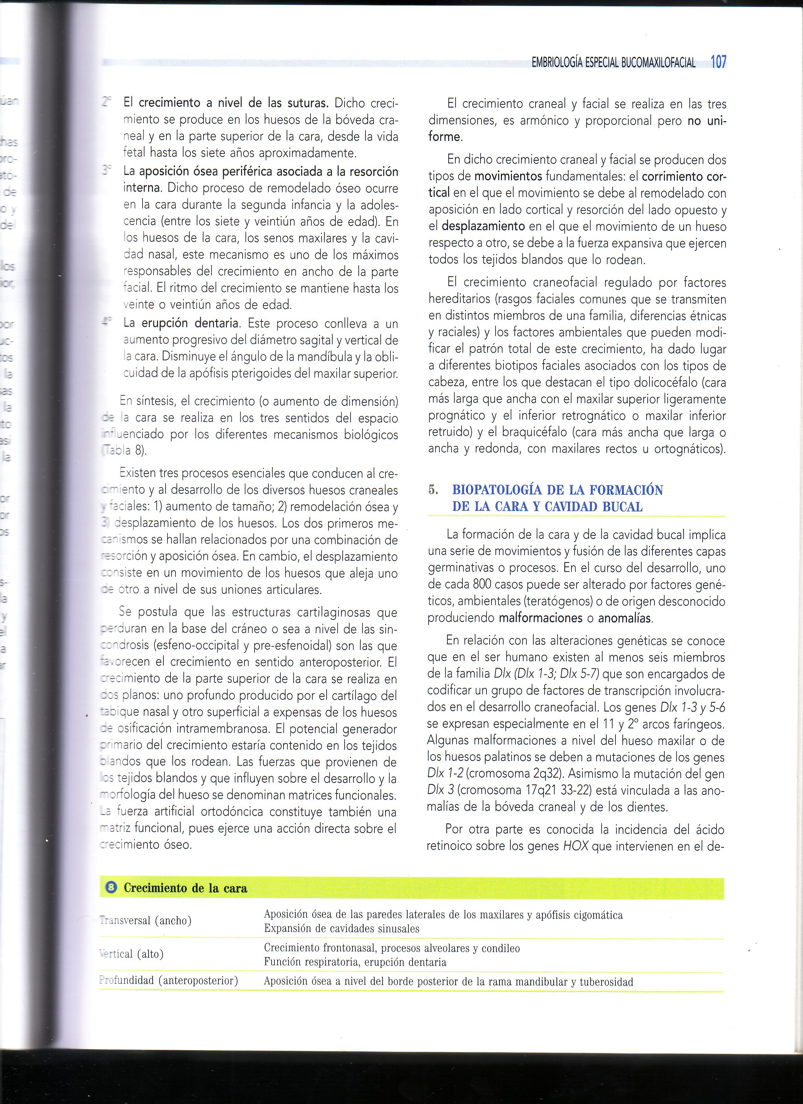 Capitulo 5 Embriologia Bucomaxilofacial Libro Gomez De Ferraris